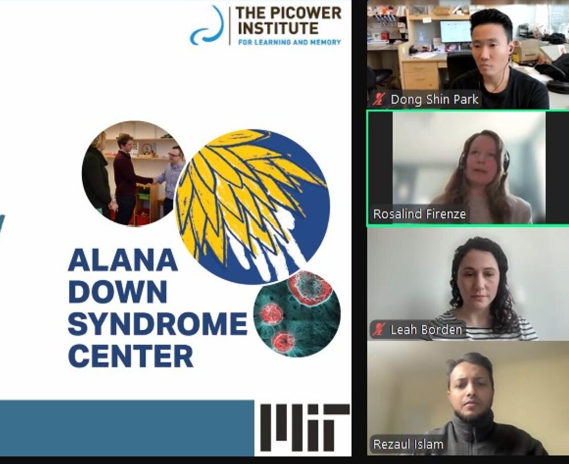 Screenshot of the webinar presentation featuring the Alana Down Syndrome Center