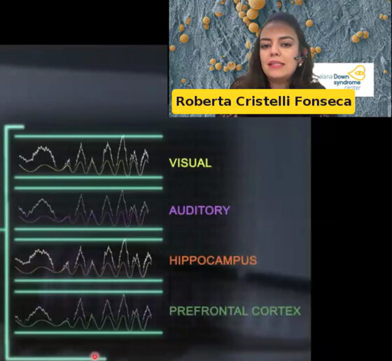 A cartoon of a brain shows different regions (visual cortex, audio cortex, prefrontal cortex and hippocampus) lit in different colors. Next to the brain is a chart of brainwaves in each region. In the upper right of the image there is an inset of Roberta Fonseca speaking.